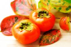 Саженцы хурмы Никитская Бордовая