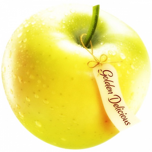 Саженцы яблони Голден делишес (золотое превосходство) Интернет магазин ross-agro.ru