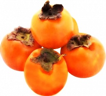 Саженцы хурмы Королёк (Хиакуме) Интернет магазин ross-agro.ru